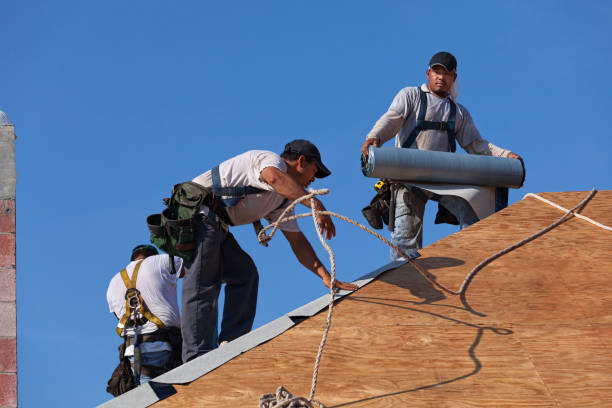 Professional Roofing Contractor in Haubstadt, IN